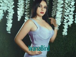 IvanaBird