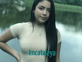 Imcataleya