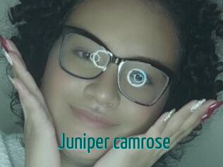 Juniper_camrose