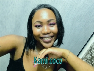 Kami_coco