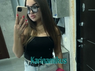 Karinamikus