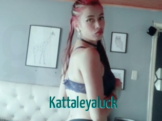 kattaleyaluck Guide du Queutard