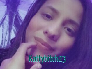 kattybitch23 Guide du Queutard