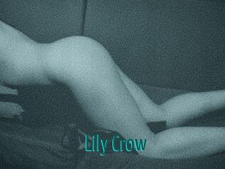 Lily_Crow