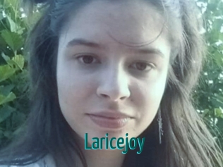 laricejoy Guide du Queutard