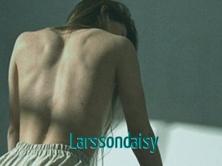 Larssondaisy