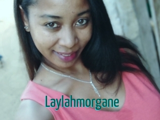 Laylahmorgane