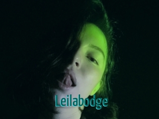 Leilabodge