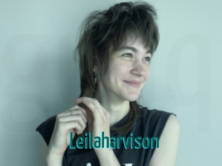 Leilaharvison