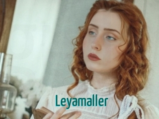 Leyamaller