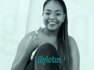 Lillylotus