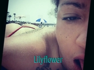 Lilyflower