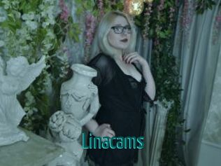 Linacams