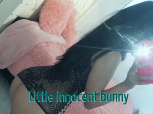 Little_innocent_bunny