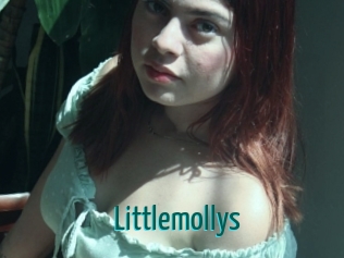 Littlemollys