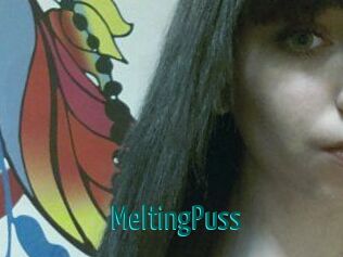 MeltingPuss