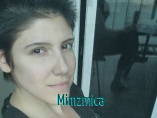 Mimzmica Guide du Queutard