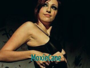 Moxie_Cane