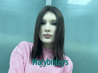 Marybibleys