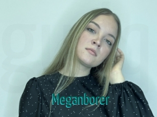 Meganborer