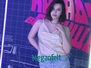 Meganfelt