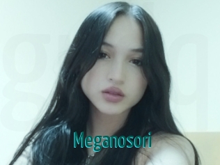 Meganosori