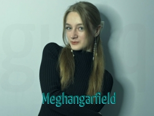 Meghangarfield