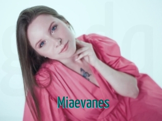 Miaevanes