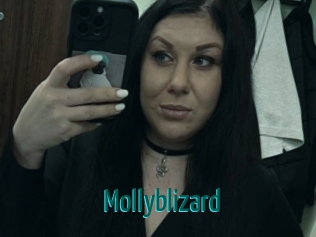 Mollyblizard