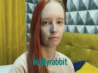 Mollyrabbit