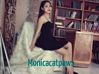 Monicacatpaws