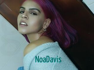 NoaDavis