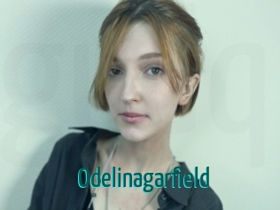 Odelinagarfield