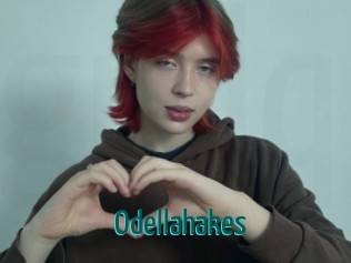 Odellahakes