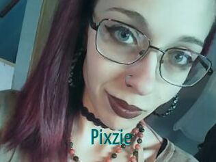 Pixzie Guide du Queutard