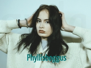 Phyllisboggus