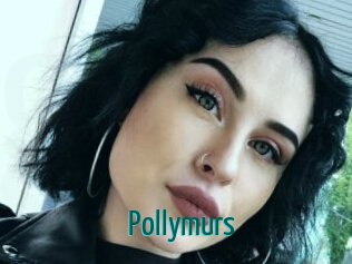 Pollymurs