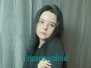 Primrosegabriel