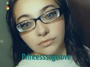 princesssagelove Guide du Queutard