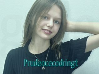 Prudencecodringt