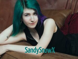 SandySnowX