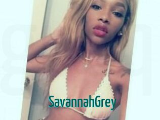 Savannah_Grey