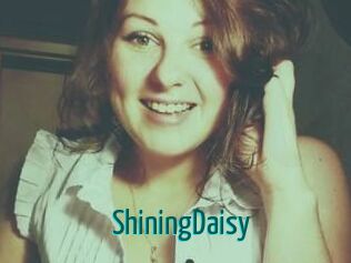 ShiningDaisy