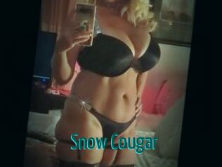 Snow_Cougar