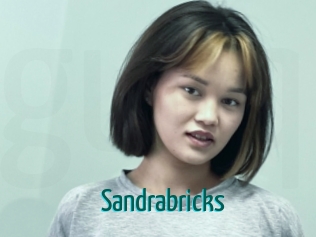 Sandrabricks