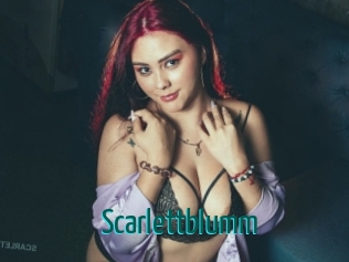 Scarlettblumm