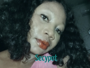 Secypot