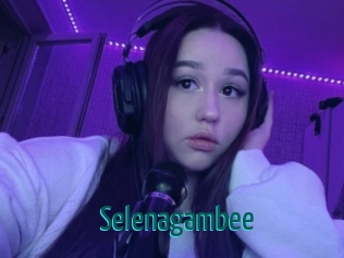 Selenagambee