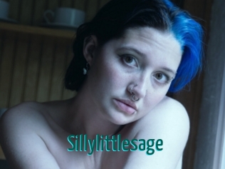 Sillylittlesage