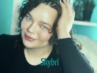 Skybri